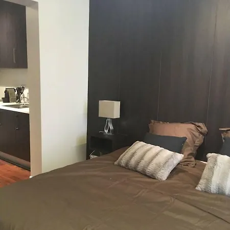 Appartement Studio Tour Eiffel Et Champs-elysees *