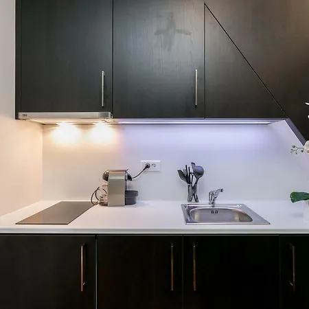 Studio Tour Eiffel Et Champs-elysees Appartement