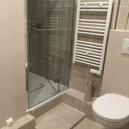 Studio Tour Eiffel Et Champs-elysees Appartement