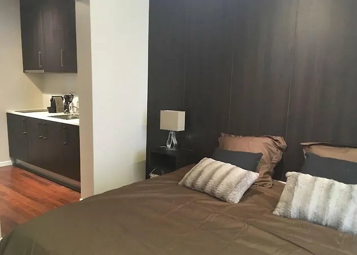 Daire Studio Tour Eiffel Et Champs-elysees *